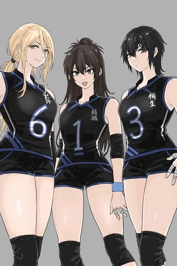 The Volleyball Trio~
