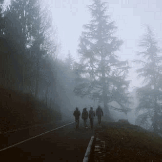 Zombie Apocalypse
