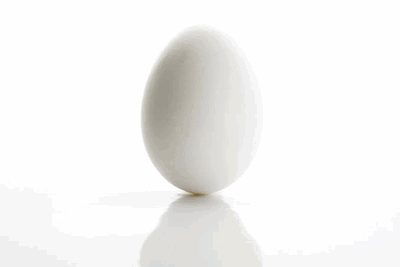 Egg - Sentient egg