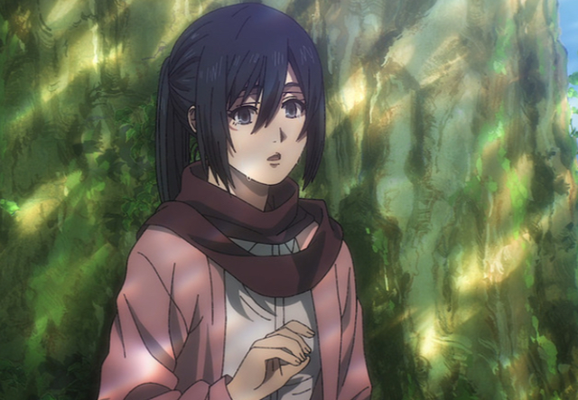 Mikasa