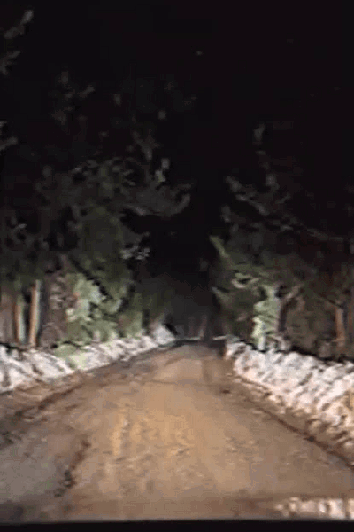 Late Night Truck Drive