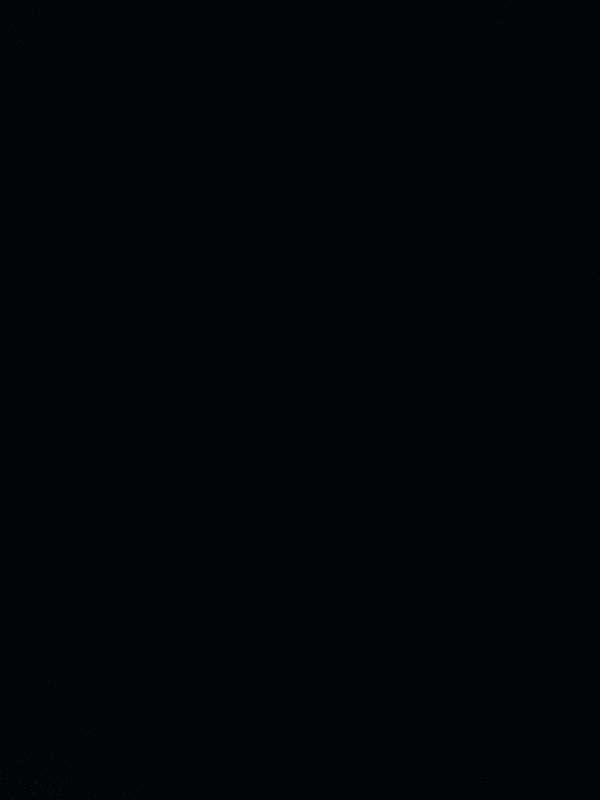 Anami