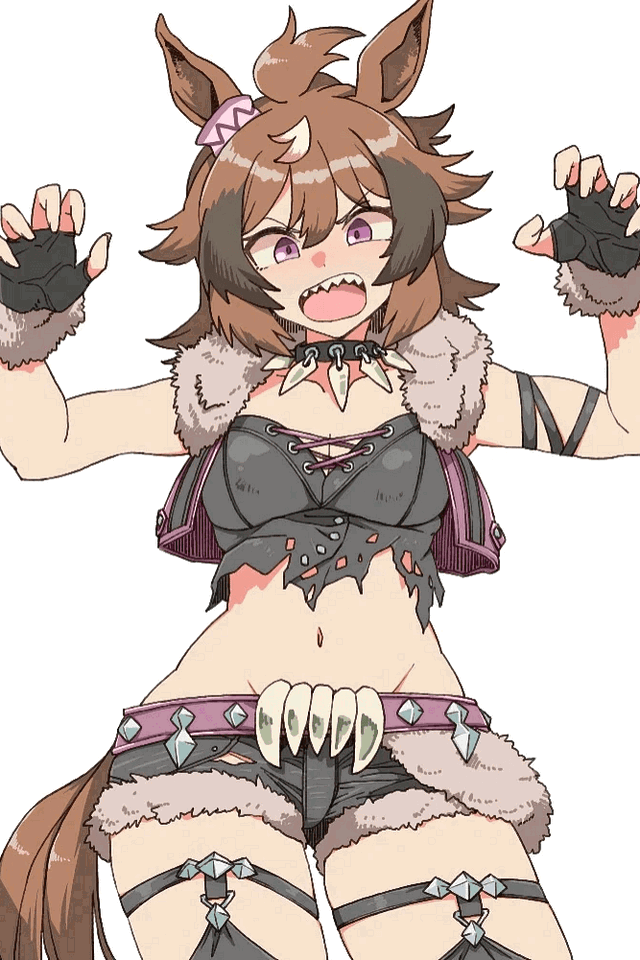 Shinko Windy