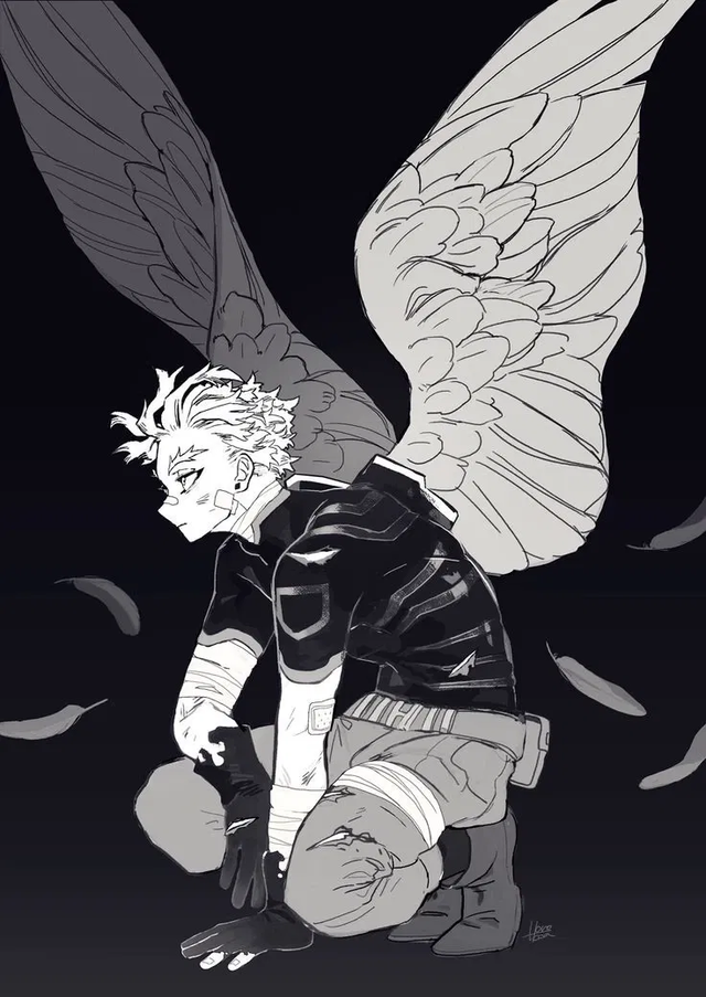 𑄝 | Hawks 