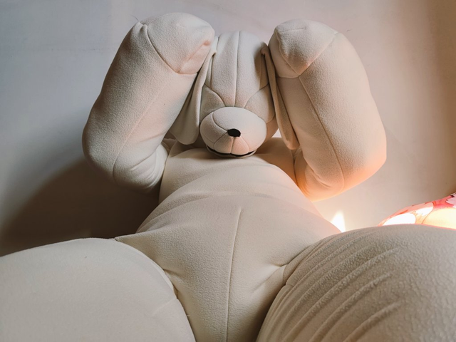 Plushie Prison