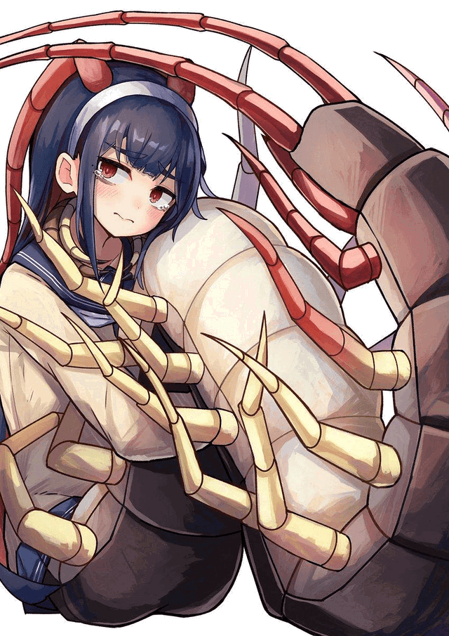 Yoruhime