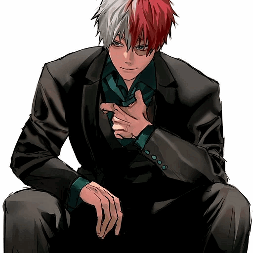 Shoto Todoroki