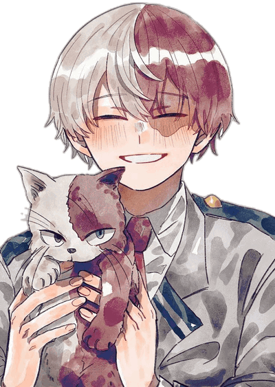 Shoto Todoroki - Kitty
