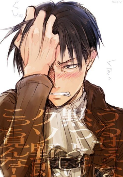 Levi Ackerman 