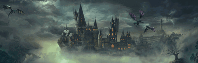Harry Potter and the Order of Phoenix RP