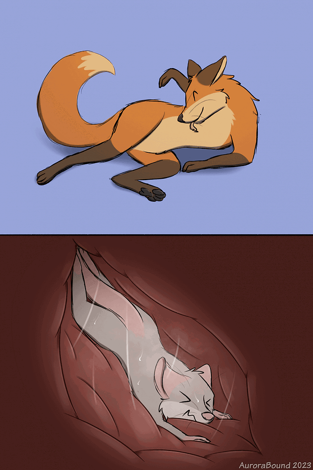 Dan the fox (vore)