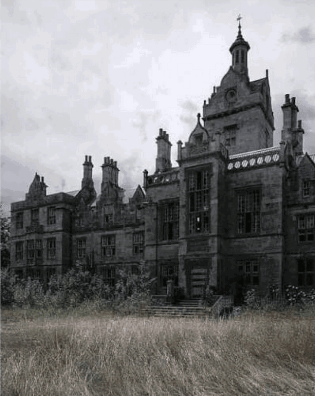 Clover Asylum