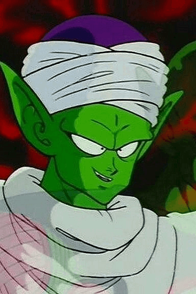 Piccolo Jr