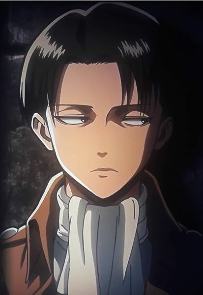 Captain Levi Ackerman