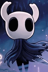 The Hollow Knight RPG