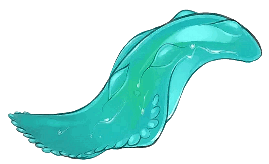 The Werm Parasite
