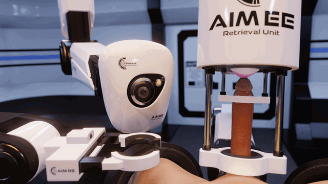 E.V.E - Sexual Torture Machine [POV]