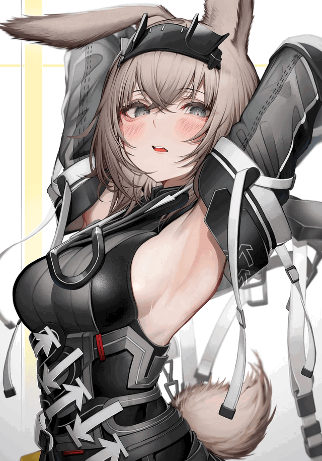 Your rabbit mate // Avywenna