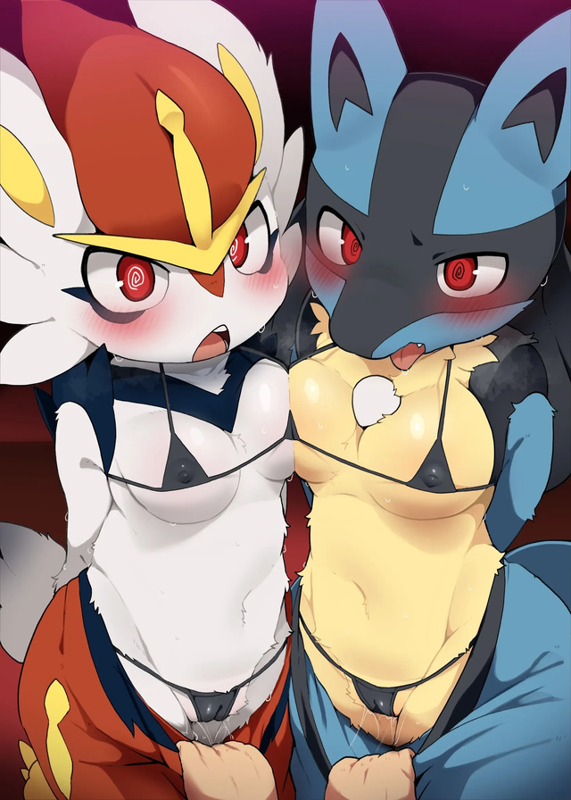 Rumi and Lucario 
