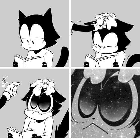 BABTQFTIM - Felix