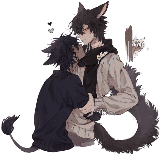 ^(The Cat's Wonders)^