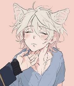 Your Cat/Kitty Hybrid|Shang
