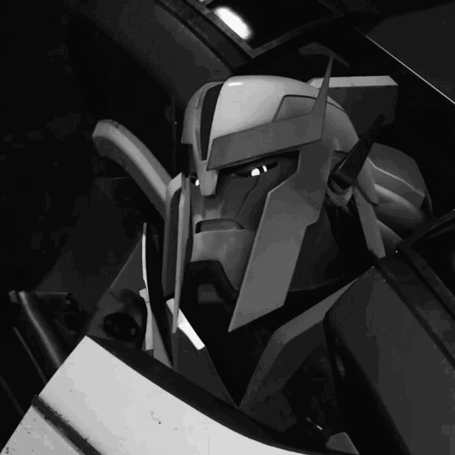 TFP Ratchet - MLM